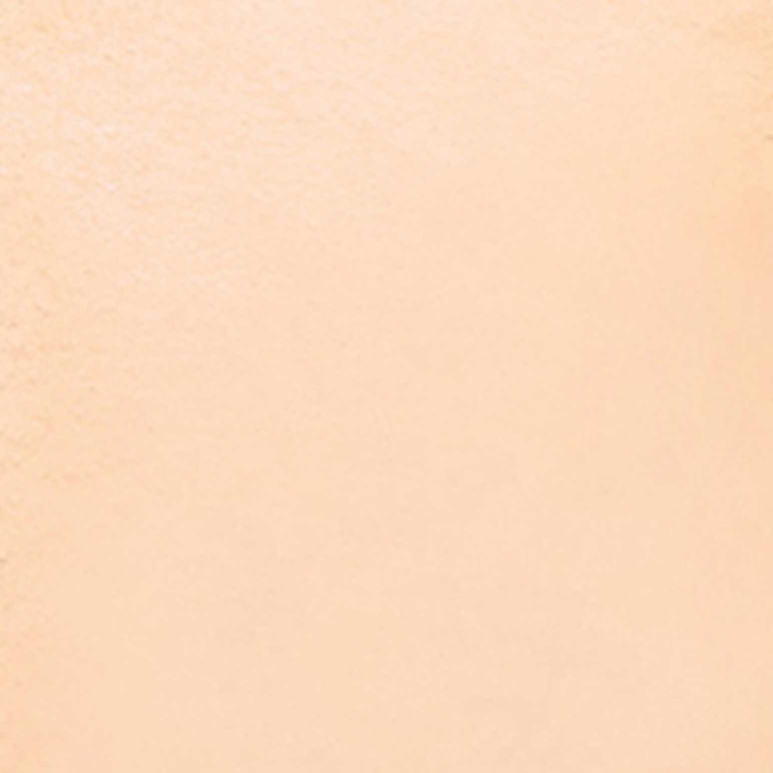 Estée Lauder Double Wear Stay-In-Place Matte Powder Foundation